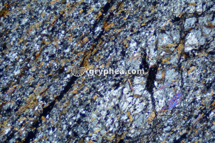 Micaschiste à andalousite LPA x6,3 - gryphea.com